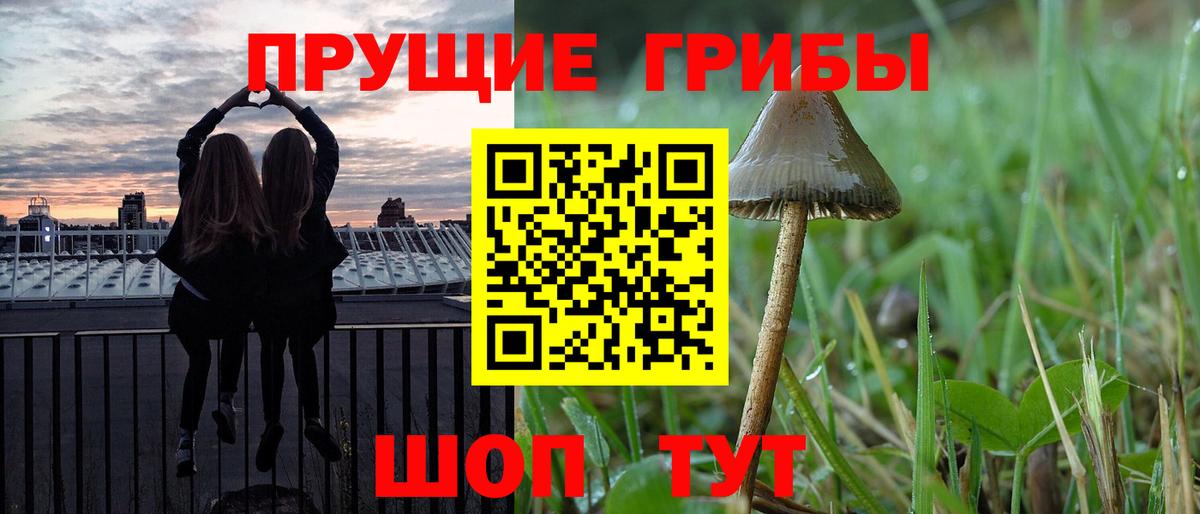 Псилоцибиновые грибы Psilocybine cubensis  Вход с VPN  Галлюциногенные грибы прущие грибы  Кизилюрт 